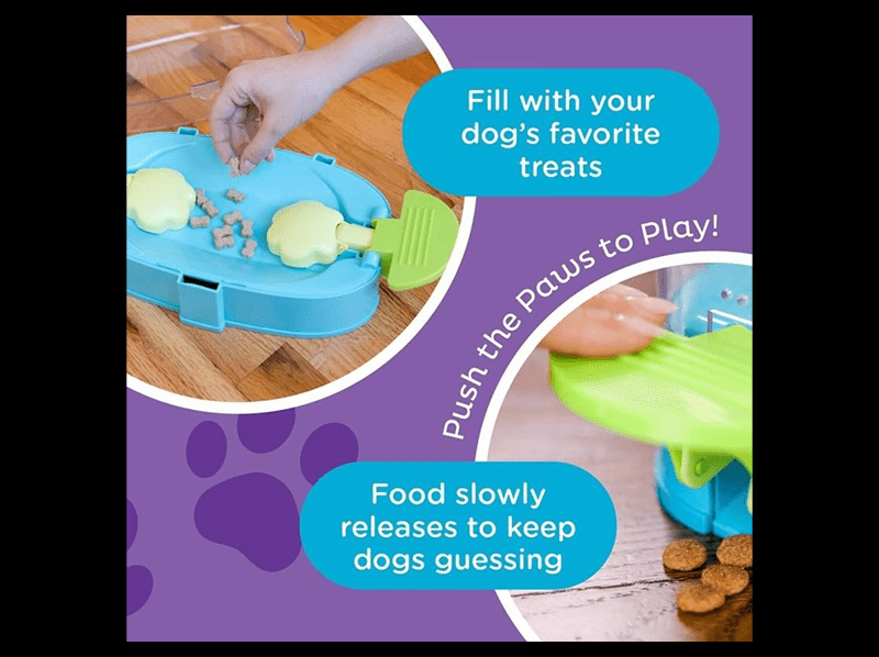 Dog treat puzzle toy with interactive features.
