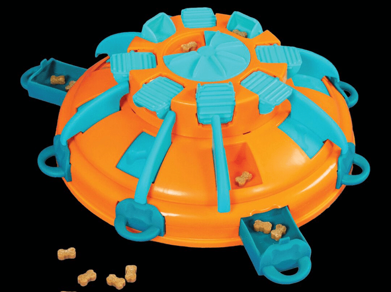 Orange and blue interactive pet toy with treats.